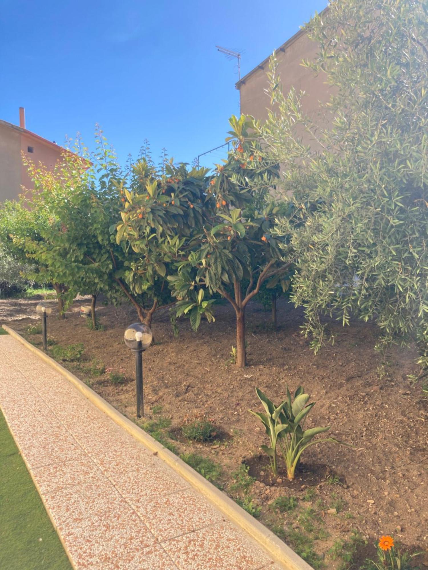 Casa Vacanze Il Giardino Villamassargia Ngoại thất bức ảnh